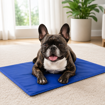 Pet Cooling Mat – Medium Size for Dogs & Cats