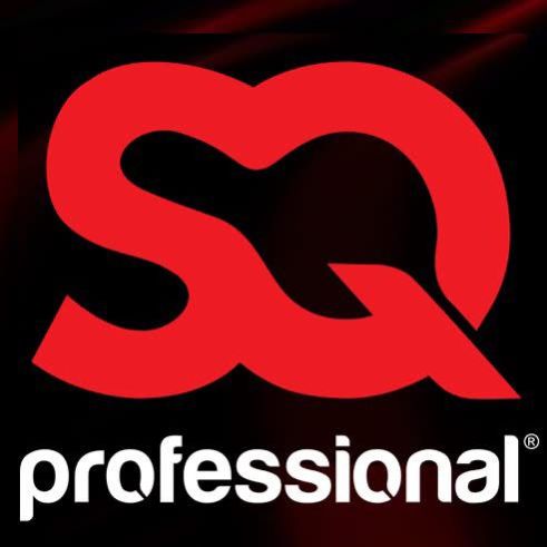 PROFESSIONAL