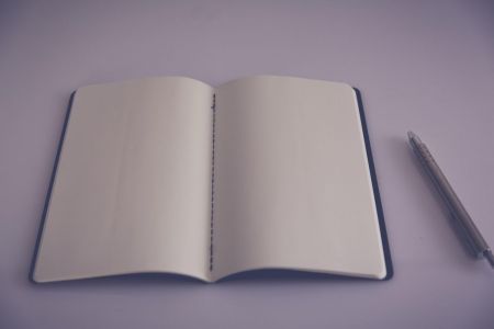 Classmate Pulse A4 Notebook Unruled 300 Pages  (Multicolor)